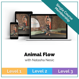 Animal Flow with Natasha on FitStreams.club