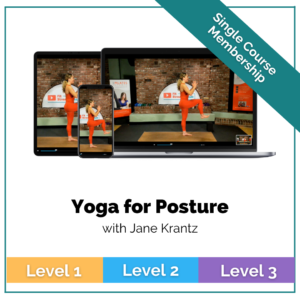 Yoga for Posture Fitstreams Course Images